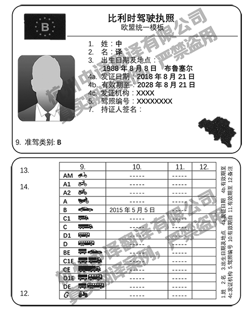 比利時駕照荷蘭語翻譯模板